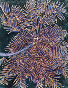 Untitled, Gouache on paper, 65 x 50 cm, 2017