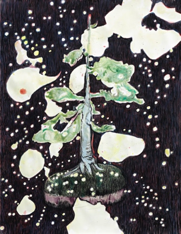 Untitled, Gouache on paper, 65 x 50 cm, 2017